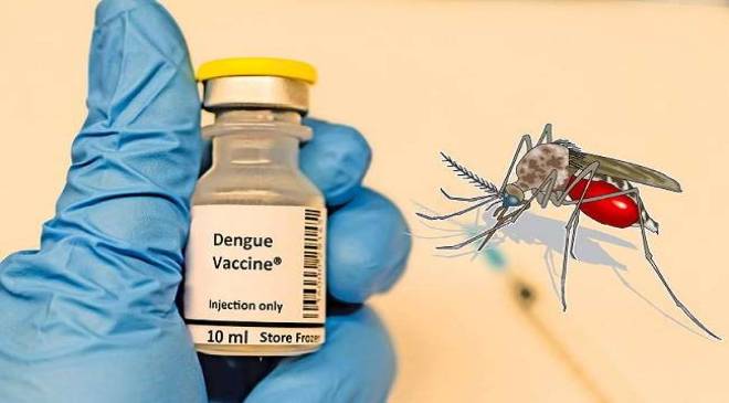 dengue_vaccine