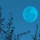 Super Blue Moon