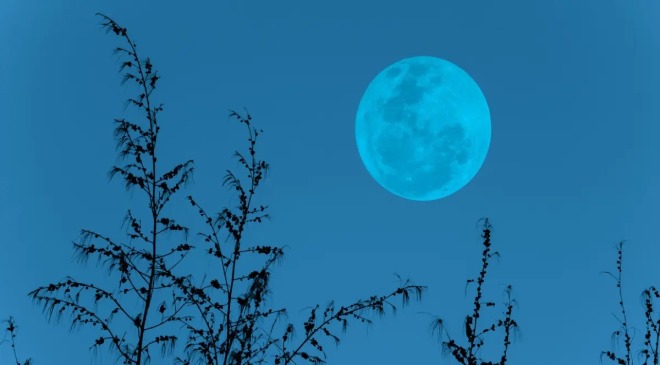 Super Blue Moon